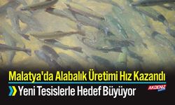 Malatya'da Alabalık Üretimi Hız Kazandı; Yeni Tesislerle Hedef Büyüyor