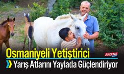Osmaniyeli Yetiştirici, Yarış Atlarını Yaylada Güçlendiriyor