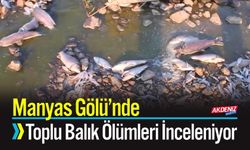 Manyas Gölü’nde Toplu Balık Ölümleri İnceleniyor