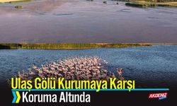 Ulaş Gölü Kurumaya Karşı Koruma Altında