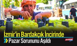 İzmir'de Bardakçık İncirinde Pazar Sorununu Aşıldı