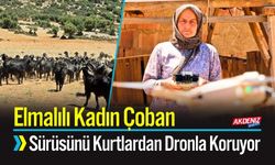 Elmalılı Kadın Çoban, Sürüsünü Kurtlardan Dronla Koruyor