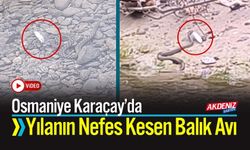 Osmaniye Karaçay’da Yılanın Nefes Kesen Balık Avı
