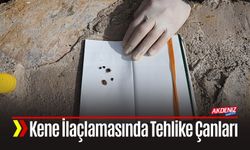 Gelişigüzel Kene İlaçlaması Tehlikeyi Artırıyor