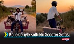 Köpekleriyle Koltuklu Scooter Sefası