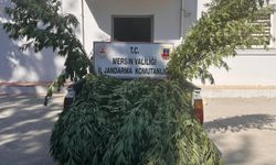 Mersin Jandarmasından Zehir Tacirlerine Darbe