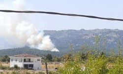 Mersin Bozyazı’da Orman Yangını