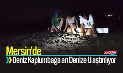 Mersin’de Gönüllü Gençler Yavru Deniz Kaplumbağalarını Denize Ulaştırıyor