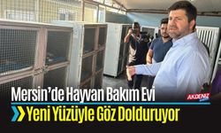 Tarsus’ta Hayvan Bakım Evi Yeni Yüzüyle Göz Dolduruyor