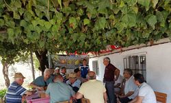 Muğla Belediyesi’nden Zeytin Üreticilerine Destek
