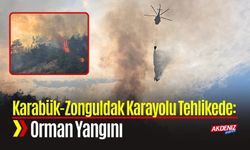 Karabük-Zonguldak Karayolu Tehlikede: Orman Yangını