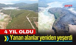 Osmaniye'de yanan alanlar, fidanlarla yeniden yeşerdi