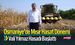 Osmaniye'de Mısır Üretiminde Hasat Dönemi
