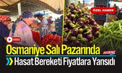 Osmaniye Salı Pazarında Fiyatlar Ceplere Nasıl Yansıdı