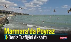 Marmara'da Poyraz Deniz Trafiğini Aksattı