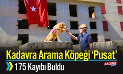 Kadavra Arama Köpeği “Pusat” 175 Kayıbı Buldu