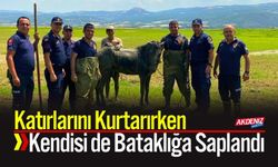 Katırlarını Kurtarırken Kendisi de Bataklığa Saplandı
