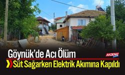 Acı Ölüm: Süt Sağarken Elektrik Akımına Kapıldı