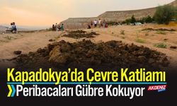Kapadokya’da Çevre Katliamı: Peribacaları Gübre Kokuyor