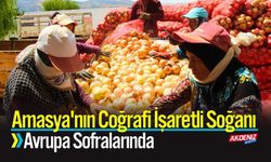 Amasya'nın Coğrafi İşaretli Soğanı Avrupa Sofralarında
