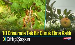 10 Dönümde Tek Bir Çürük Elma Kaldı