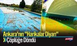 Ankara'nın "Harikalar Diyarı" Çöplüğe Döndü