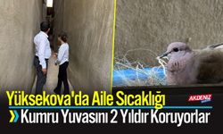 Yüksekova'da Aile Sıcaklığı