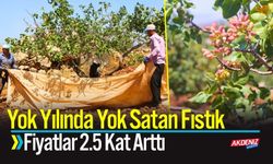 Yok Yılında Yok Satan Fıstık: Fiyatlar 2.5 Kat Arttı
