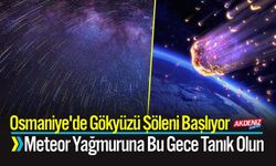 Meteor Yağmuruna Bu Gece Osmaniye'de Tanık Olun