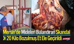 Mersin'de 20 Kilo Bozulmuş Et Ele Geçirildi