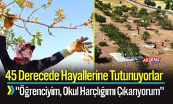 Mevsimlik İşçiler 45 Derecede Hayallerine Tutunuyorlar
