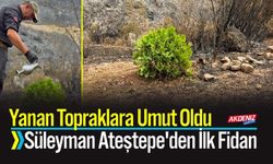 Yanan Topraklara Umut Oldu: Süleyman Ateştepe'den İlk Fidan