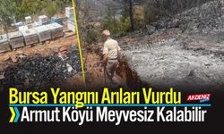 Bursa Yangını Arıları Vurdu: Armut Köyü Meyvesiz Kalabilir