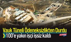 Vauk Tüneli Ödeneksizlikten Durdu:100’e yakın işçi işsiz kaldı
