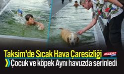 Taksim'de Çocuk ve köpek Aynı havuzda serinledi