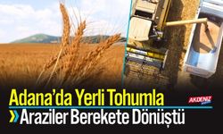 Adana’da Yerli tohumla Araziler Berekete Dönüştü