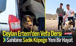 Ceylan Ertem'den Vefa Dersi: Sadık Köpeğe Yeni Bir Hayat