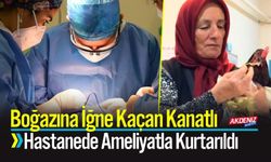 Boğazına İğne Kaçan Kanatlı Ameliyatla Kurtarıldı