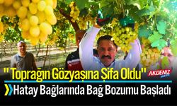 "Toprağın Gözyaşına Şifa Oldu" Bağ Bozumu Hasadı Başladı!