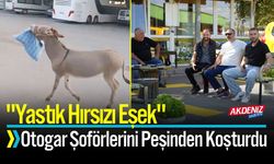 “Yastık Hırsızı Eşek” Otogar Şoförlerini Peşinden Koşturdu