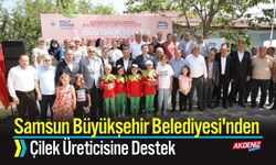 Samsun Büyükşehir Belediyesi'nden Çilek Üreticisine Destek