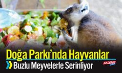 Doğa Parkı’nda Hayvanlar Buzlu Meyvelerle Serinliyor