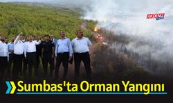 Osmaniye'deki Yangın Kontrol Altına Alındı