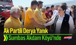 Osmaniye Milletvekili Derya Yanık, Yangın Bölgesinde