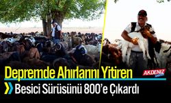 Depremde Ahırlarını Yitiren Besici Sürüsünü 800’e Çıkardı