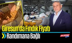 Giresun'da Fındık Fiyatı Randımana Bağlı