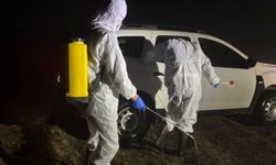 Gümüşhane’de Şap Hastalığı: 5 Köyde Hayvancılık Durduruldu