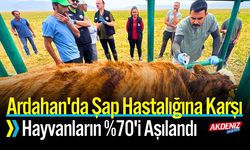 Ardahan'da Şap Hastalığına Karşı Hayvanların %70'i Aşılandı
