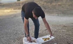 İnşaat Ustası'ndan Sokak Hayvanlarına Örnek Davranış