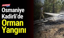 Osmaniye Kadirli’de Orman Yangını
